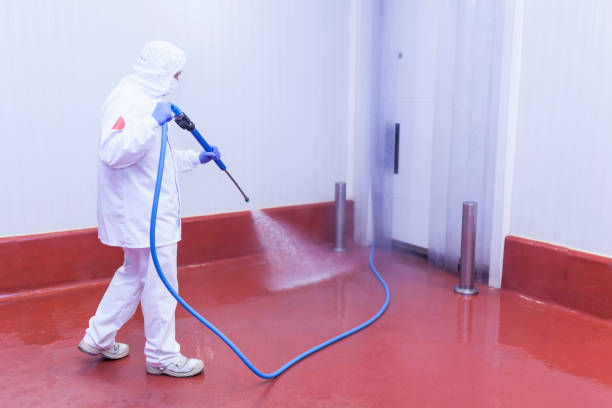 Professional Pressure Washing Services in North Sarasota, FL