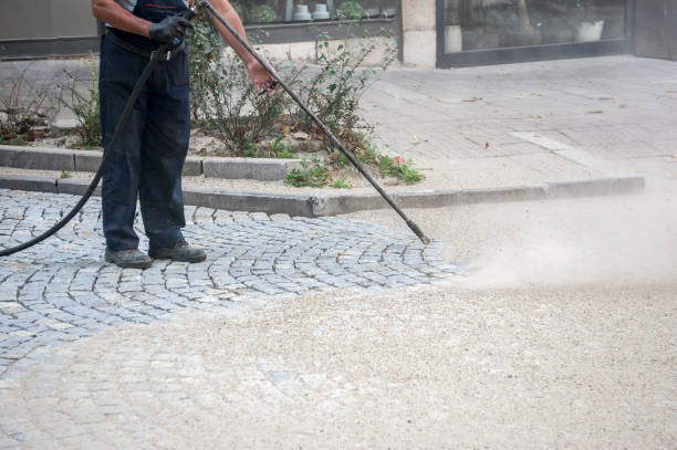 Best Sidewalk and Walkway Cleaning  in North Sarasota, FL